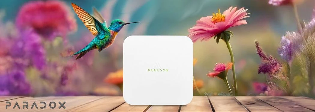 dsbolt - Global DS Hungary Kft. - Vagyonvédelem