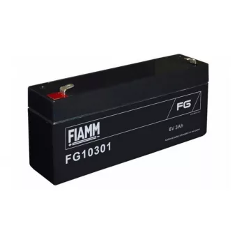 AKKUMULÁTOR 6V 3AH FIAMM (AK6V-3AhFIAMM)